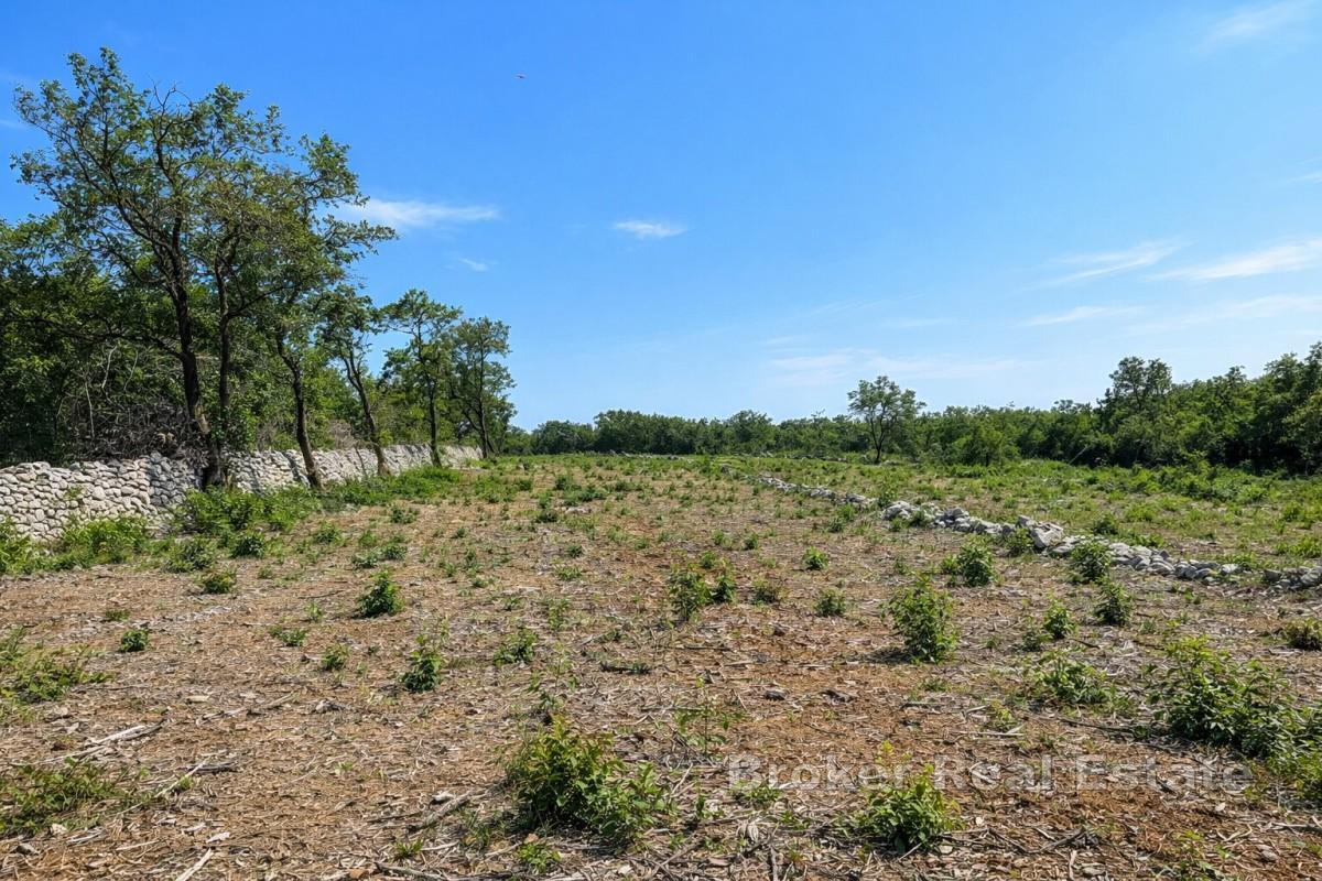 Investičný pozemok s výhľadom na more vo východnej Istrii