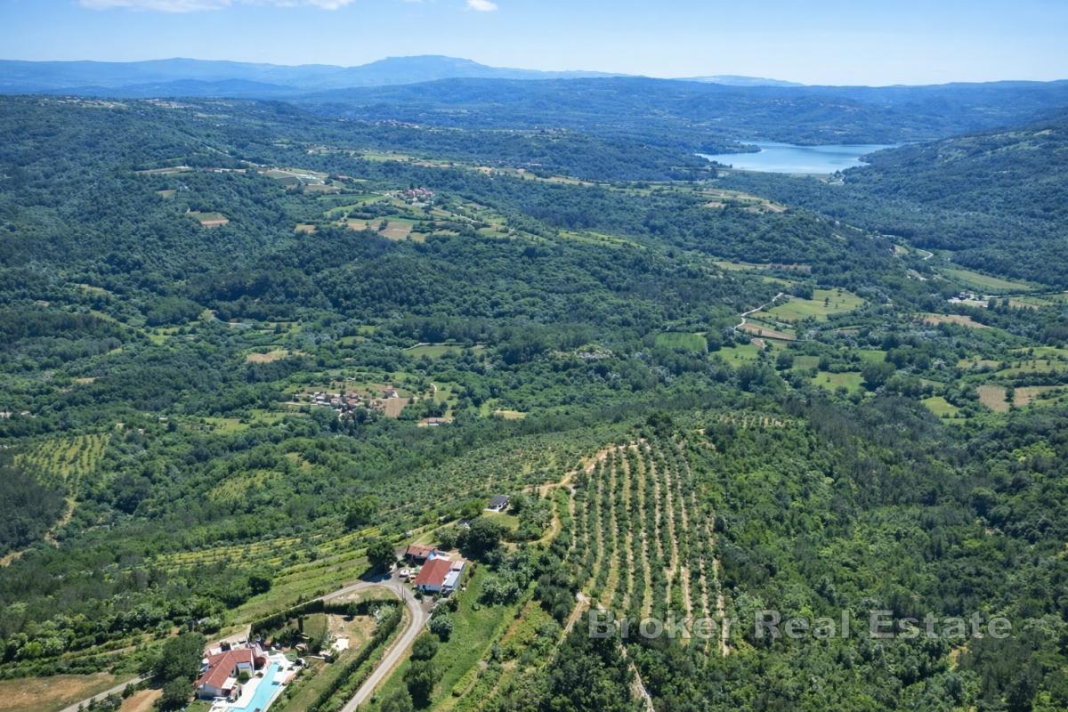 Domaine avec oliveraies et fort potentiel de développement près de Motovun