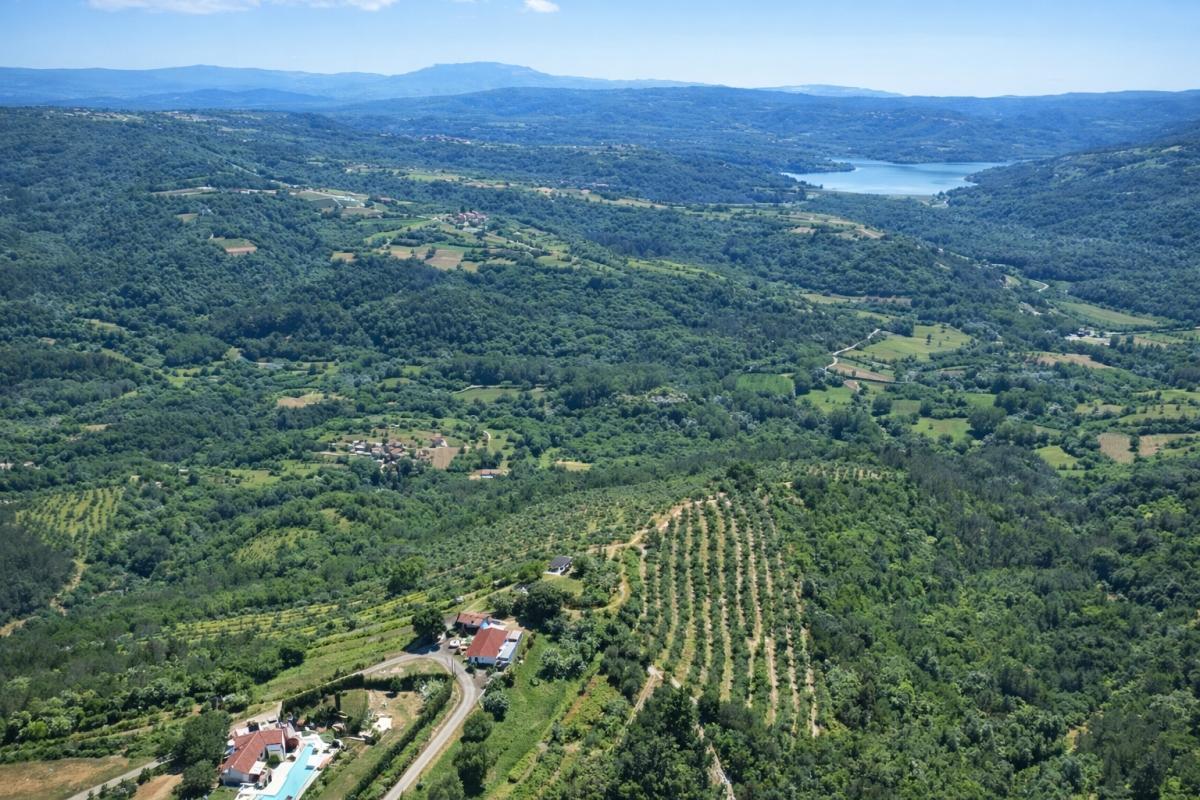 Domaine avec oliveraies et fort potentiel de développement près de Motovun