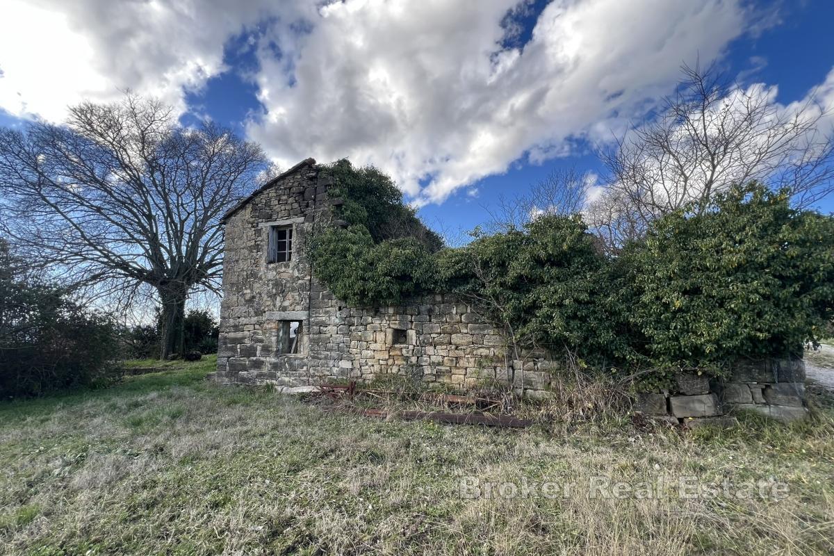Domaine avec oliveraies et fort potentiel de développement près de Motovun