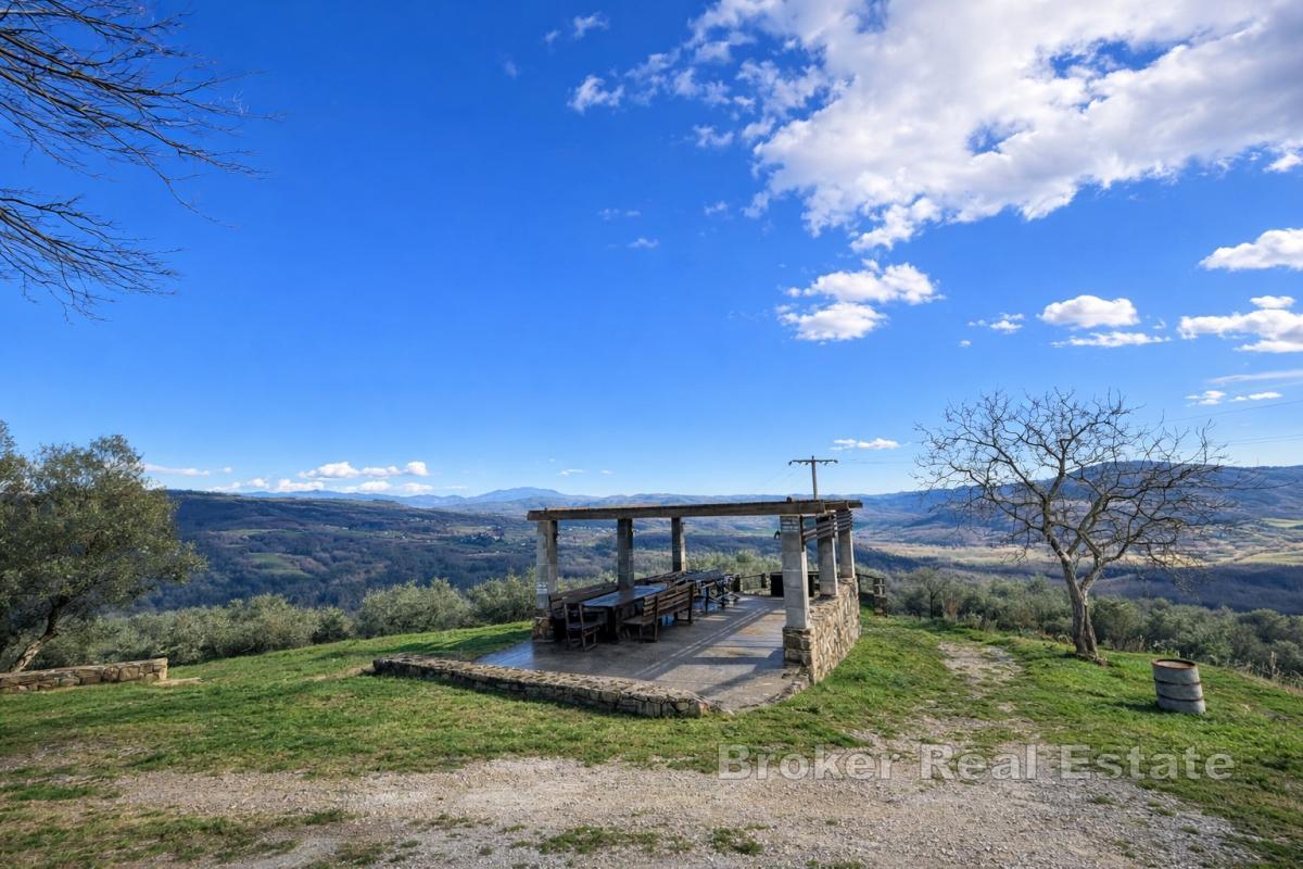 Domaine avec oliveraies et fort potentiel de développement près de Motovun