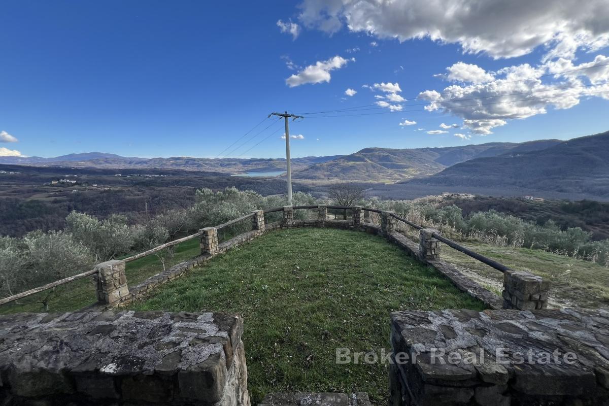 Domaine avec oliveraies et fort potentiel de développement près de Motovun