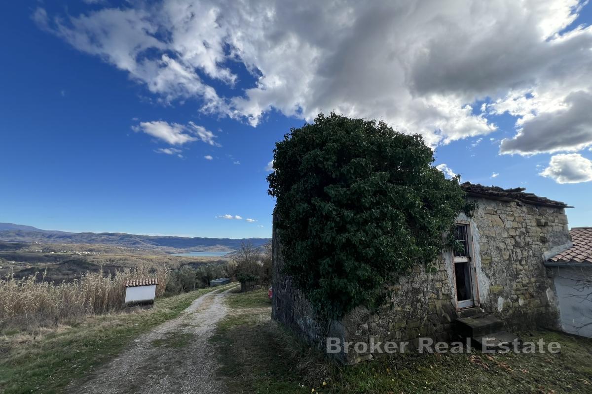 Domaine avec oliveraies et fort potentiel de développement près de Motovun