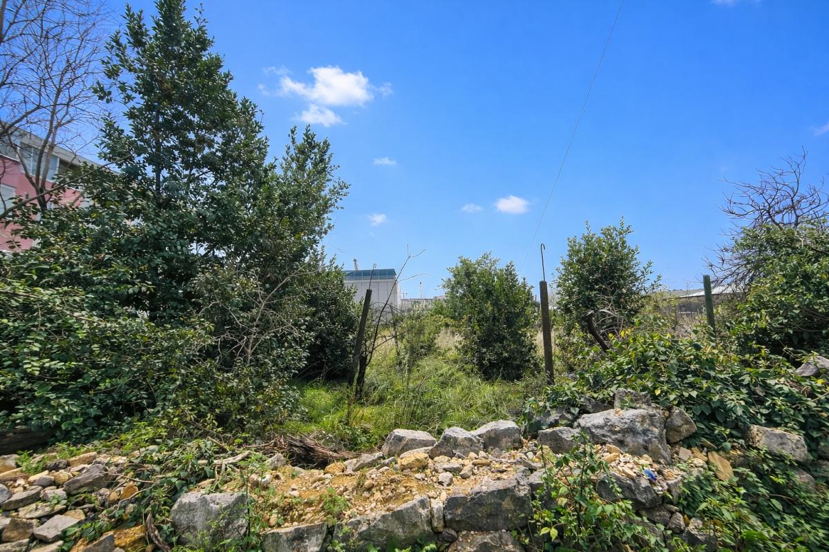 001-2055-09-Split-area-Commercial-land-for-investment-for-sale