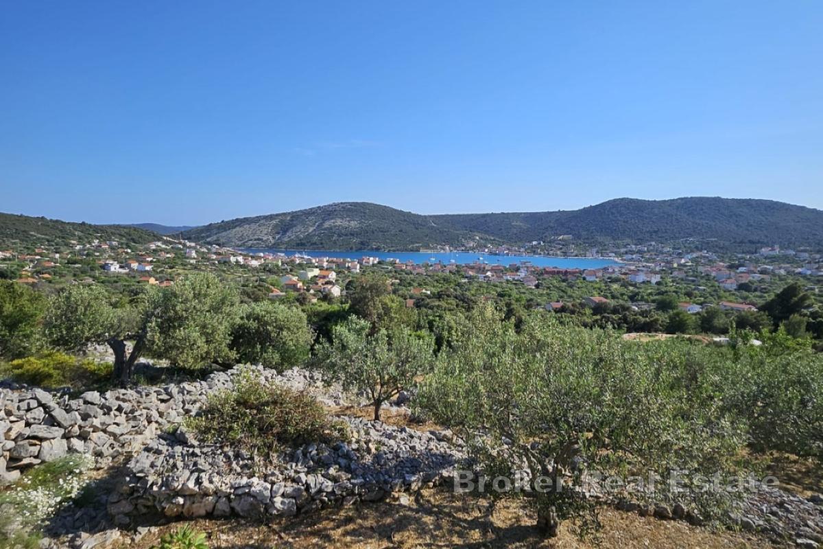 Tradiční dalmatský pozemek s olivovým hájem a výhledem na moře