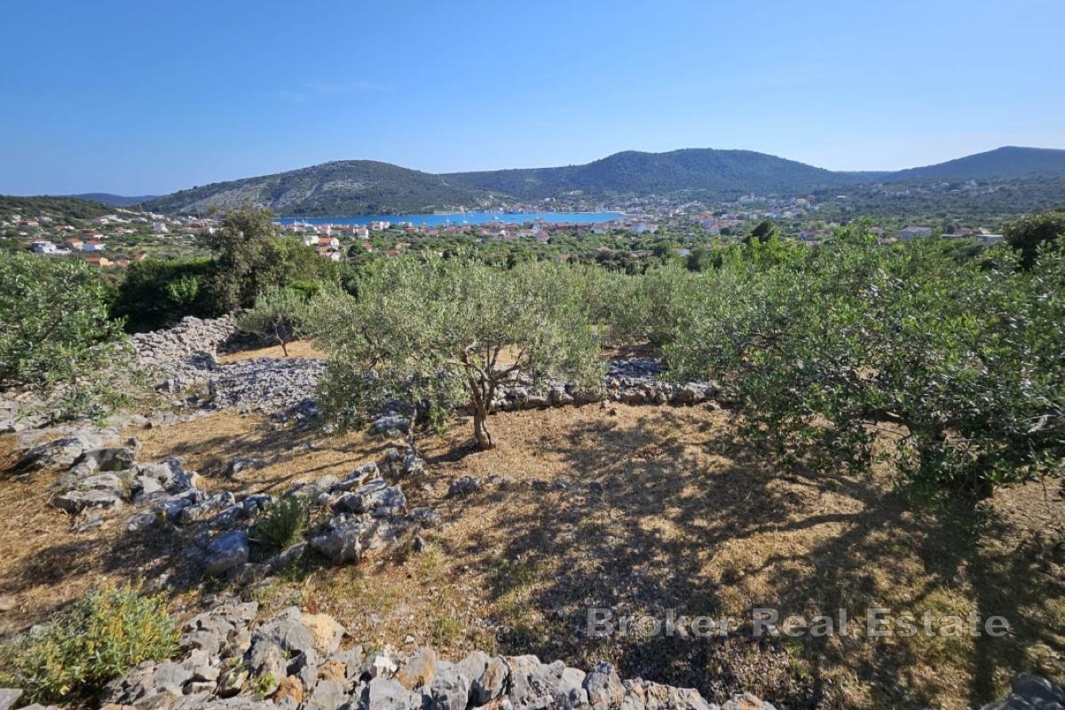 Tradiční dalmatský pozemek s olivovým hájem a výhledem na moře