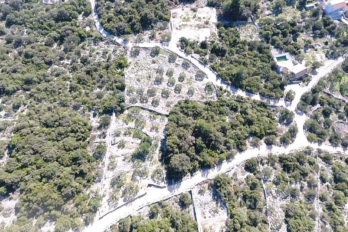 Tradiční dalmatský pozemek s olivovým hájem a výhledem na moře