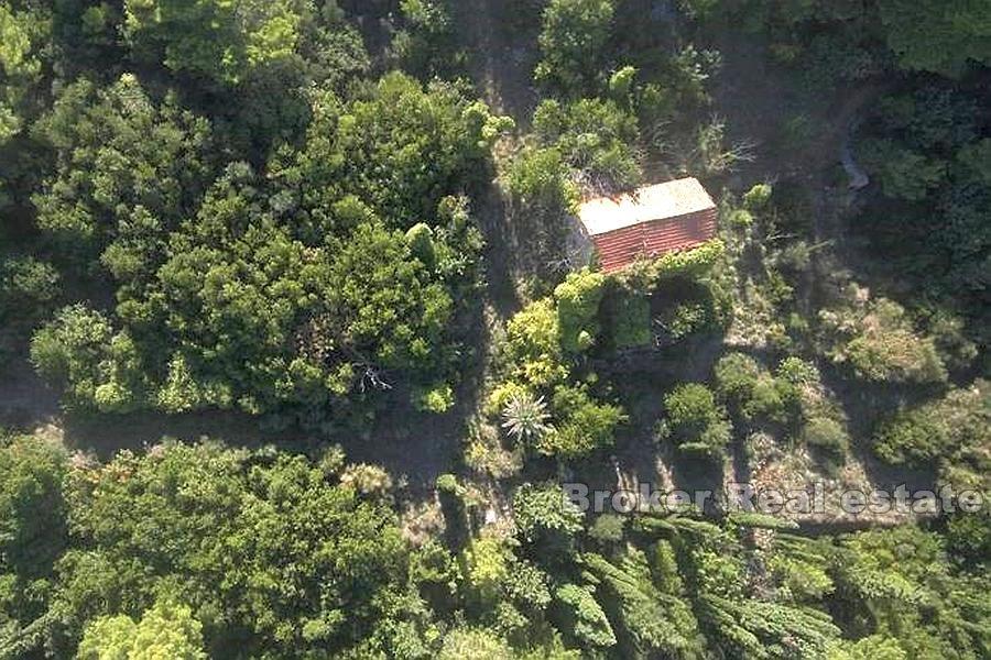 Ile de Lopud - Maison en pierre sur un grand terrain