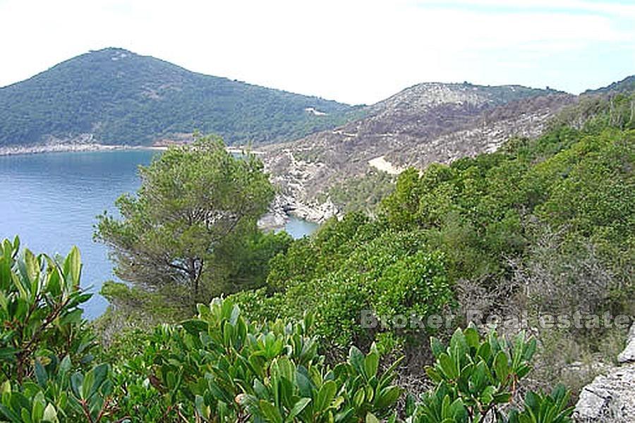 Ile de Lopud - Maison en pierre sur un grand terrain