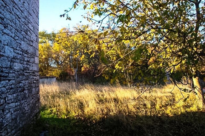 Старый дом Истрия - Пазин области