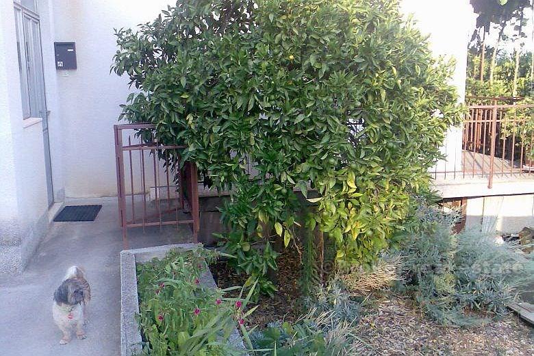 Région de Trogir - Maison en bord de mer sur l'emplacement très attrayant