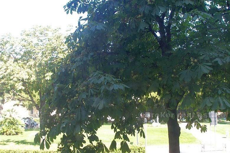 Split - Leilighet på 105 m2 i første etasje