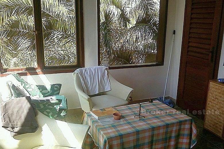 Island of Brac - House with land by the sea