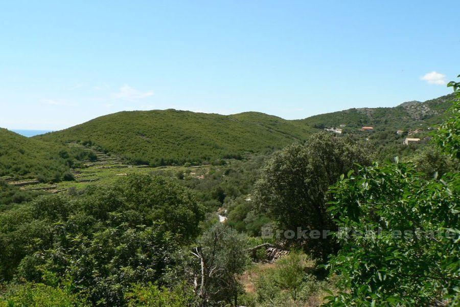 Isola di Mljet - Vecchia casa di pietra 36 m2 su tre piani