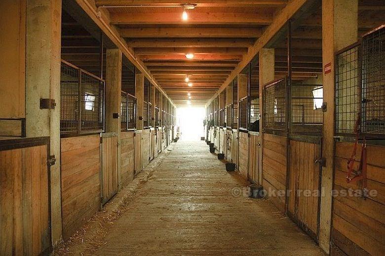Près d'Osijek - Mini hôtel avec des écuries pour les chevaux et le pays de 46000m2