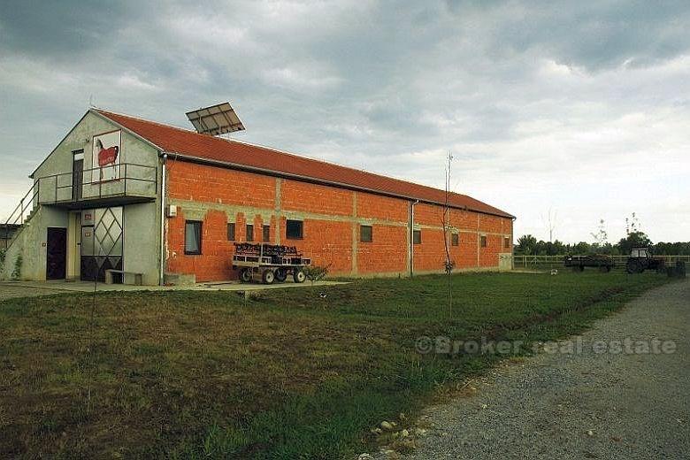 Près d'Osijek - Mini hôtel avec des écuries pour les chevaux et le pays de 46000m2
