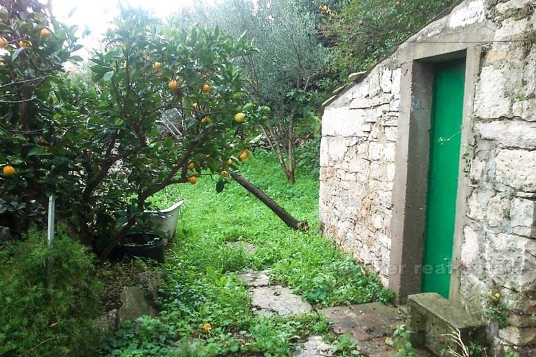 Île de Korcula - Maison en bord de mer