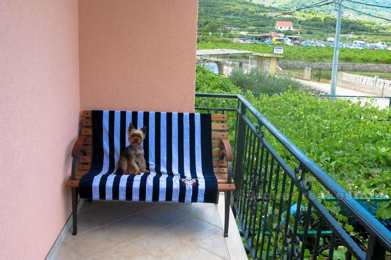 Île de Hvar - appartements