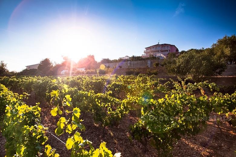 près de Trogir - Villa de luxe