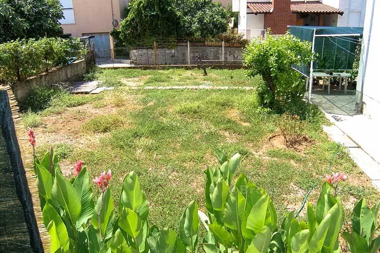 Split - 2 apartments and business premises