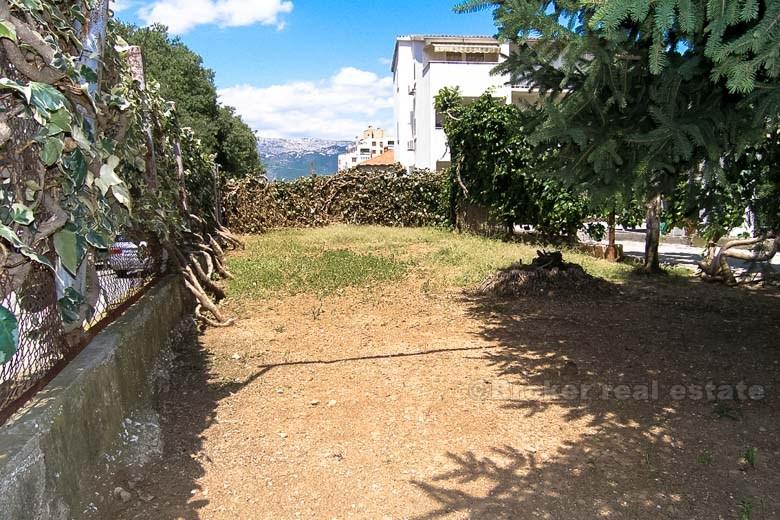 Split - 2 apartments and business premises