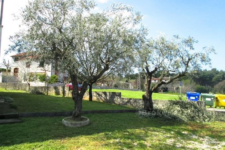 Powierzchnia Porec - Dom Mieszkanie