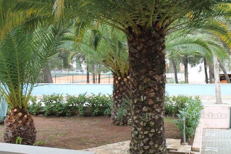 île Brac, appartement à 100 m de la plage