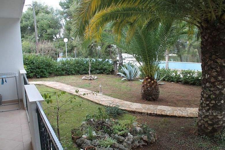île Brac, appartement à 100 m de la plage