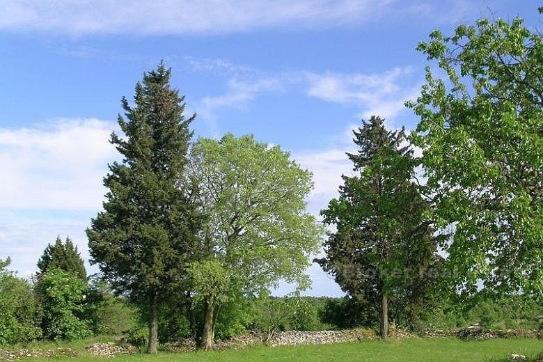 20 km de Pula - Maison