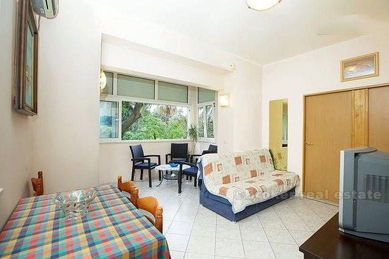 Split city. apartment