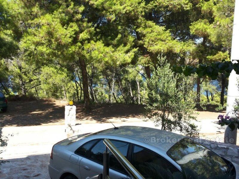 wyspa Ciovo - Mieszkanie