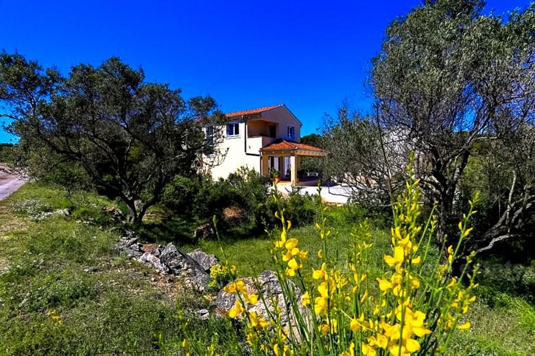 Insel Dugi Otok. Das Haus / Villa