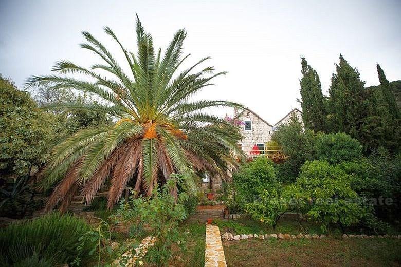 остров Брач, роскошно отремонтированный дом