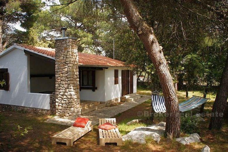 près de Zadar, Pakostane, bungalow dans la forêt de pins