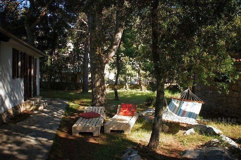près de Zadar, Pakostane, bungalow dans la forêt de pins