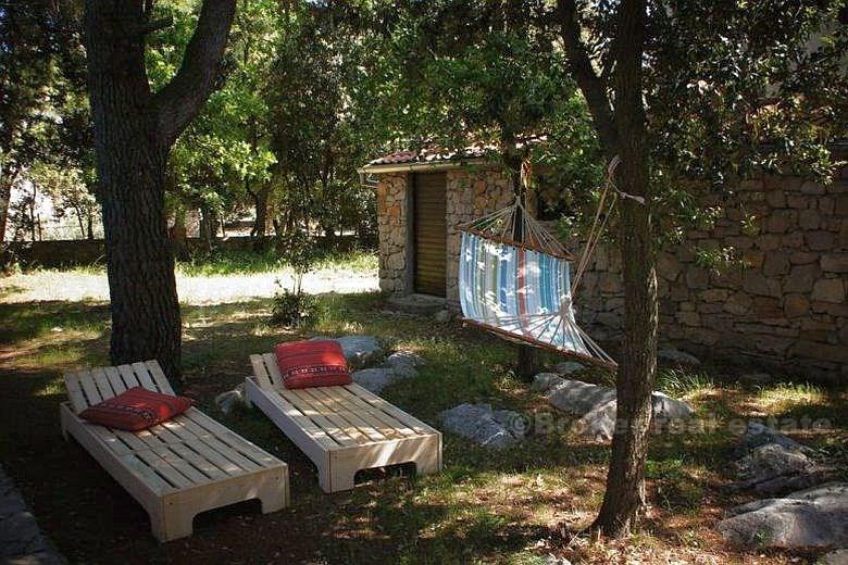 blizina Zadra, Pakoštane prizemnica u borovoj šumi