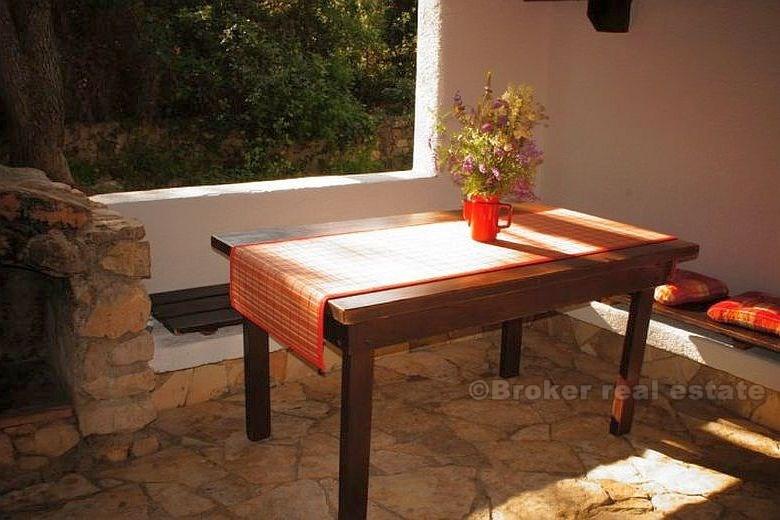 près de Zadar, Pakostane, bungalow dans la forêt de pins