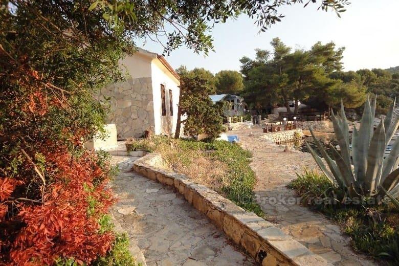 île de Solta. Maison mitoyenne