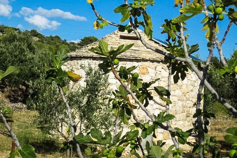 island of Brac 2 houses