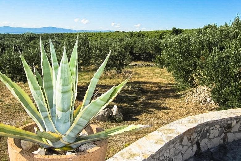 island of Brac 2 houses