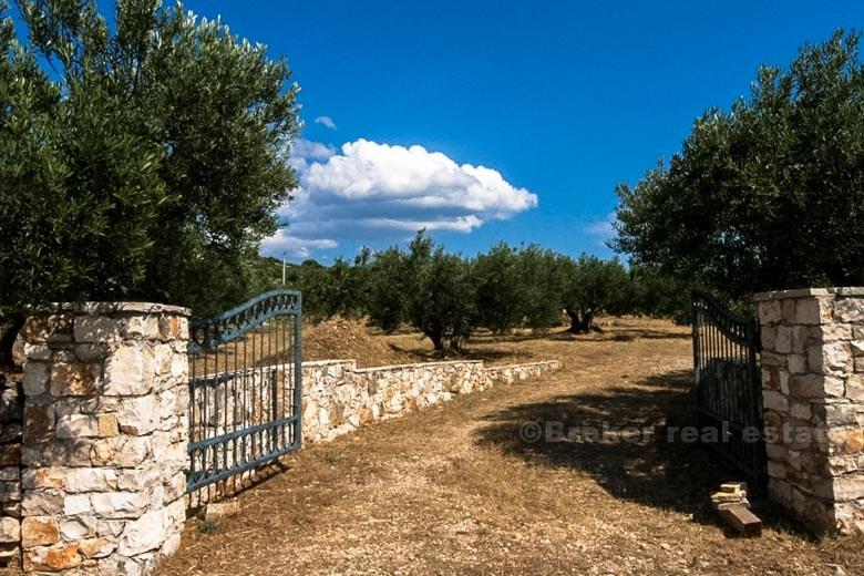 island of Brac 2 houses
