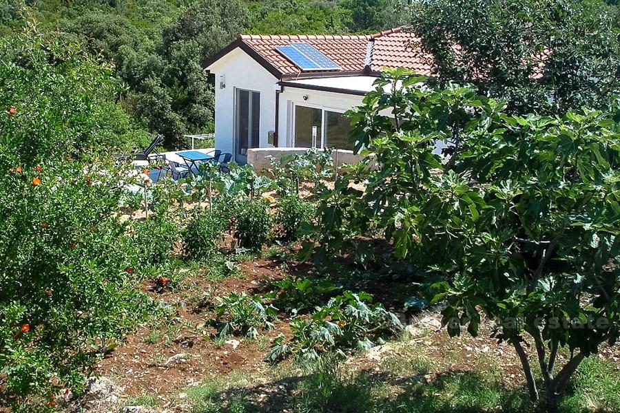 wyspa Korčula, odległe gospodarstwo z widokiem na morze