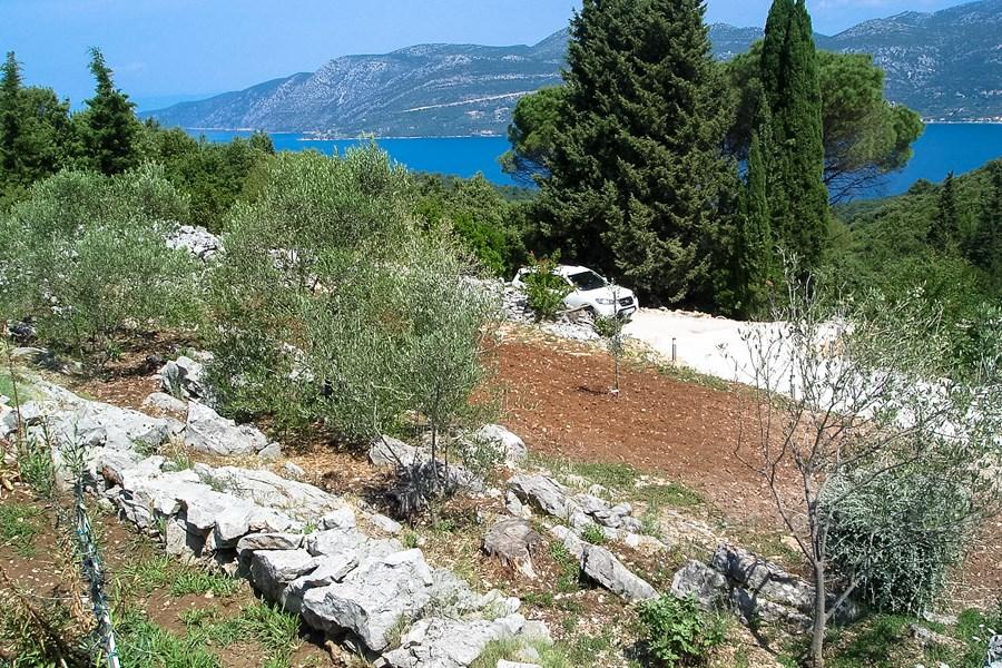 wyspa Korčula, odległe gospodarstwo z widokiem na morze