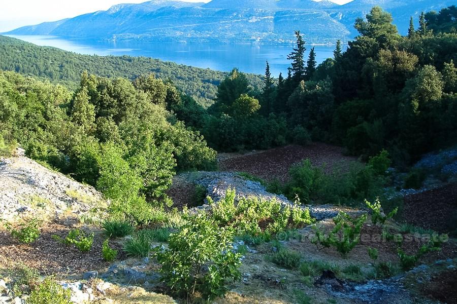 wyspa Korčula, odległe gospodarstwo z widokiem na morze