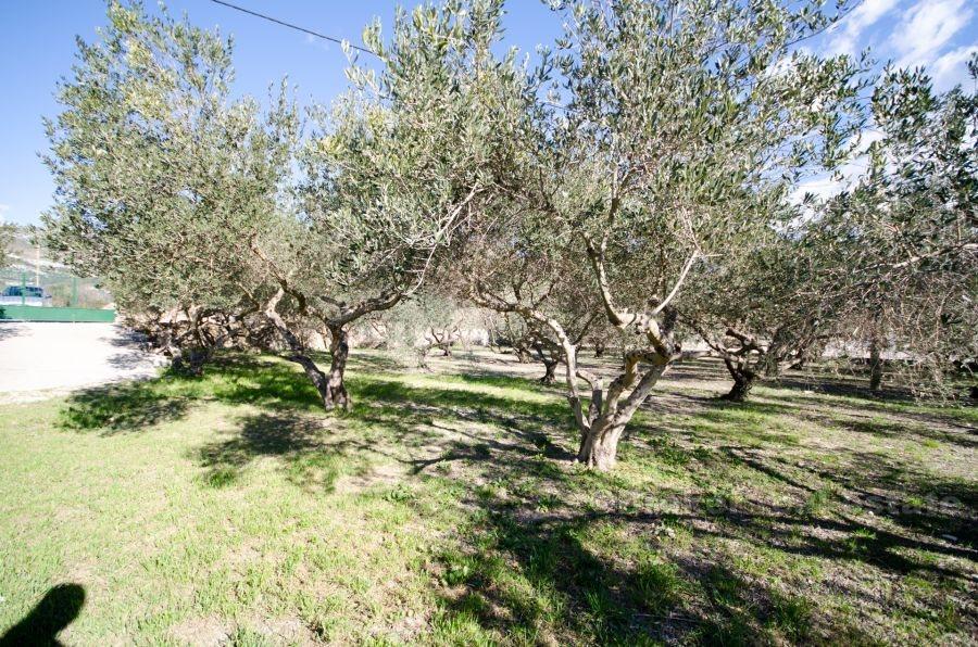 Kastela, hus med stor byggegrund