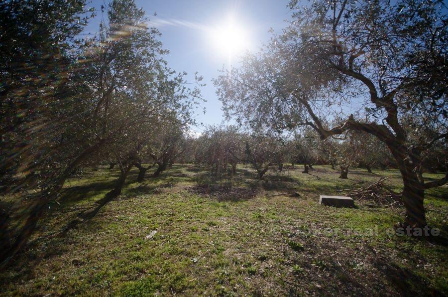 Kastela, hus med stor byggegrund