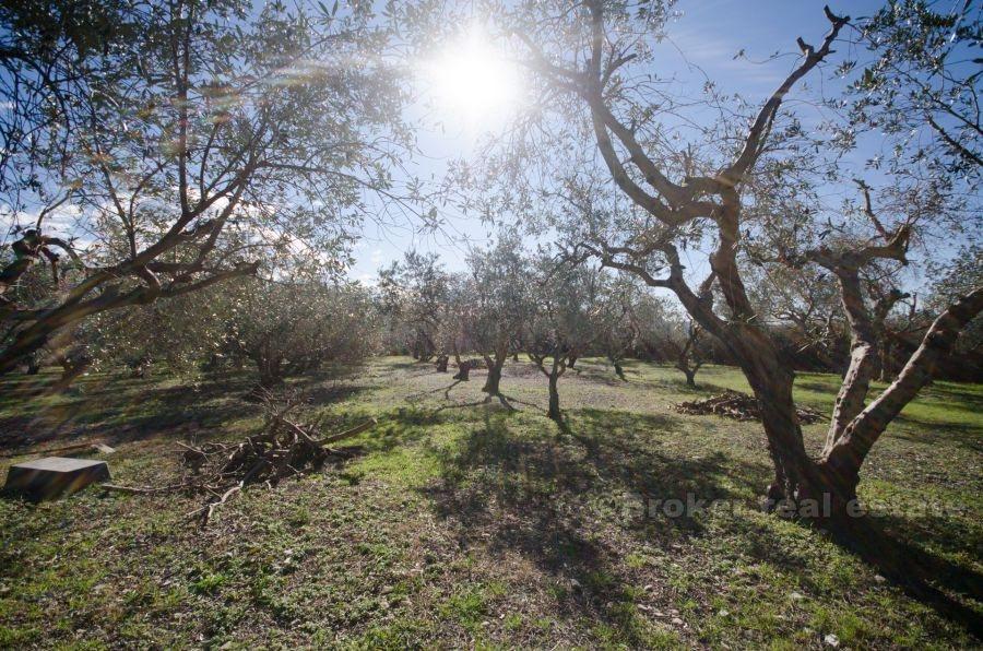 Kastela, hus med stor byggegrund