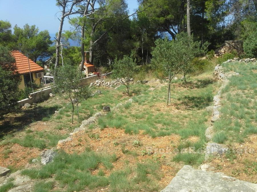 ostrov Hvar, dům s výhledem na moře