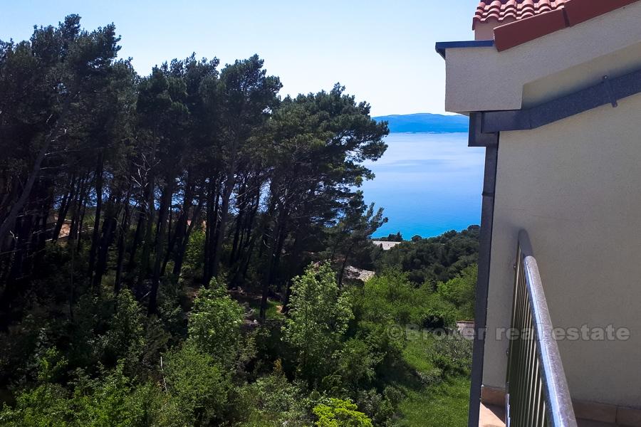 Nedaleko Makarské, byt