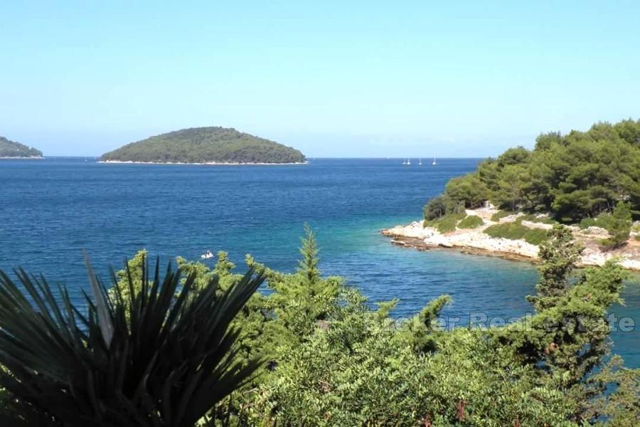 øya Korcula, hus ved sjøen